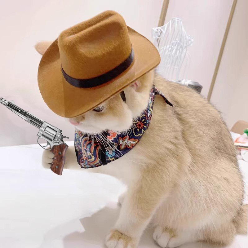  Cat Cowboy Hat Pet Head Acce - Cowboy Hat Straw recensie en prijs