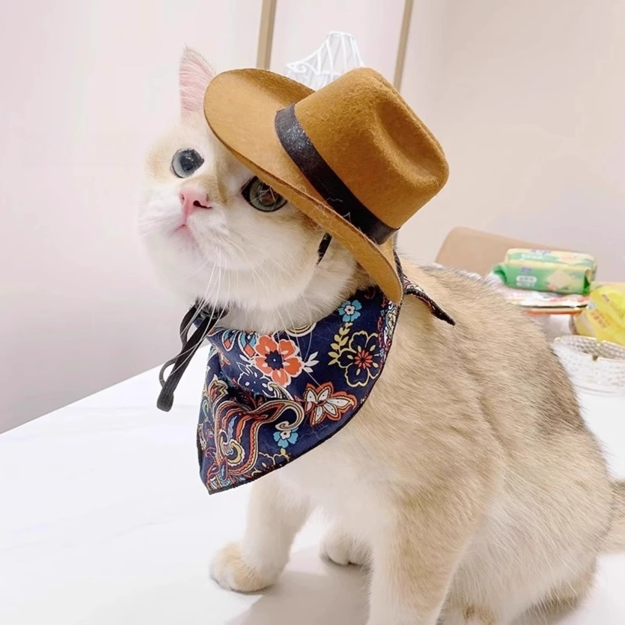  Cat Cowboy Hat Pet Head Acce - Cowboy Hat Straw recensie en prijs