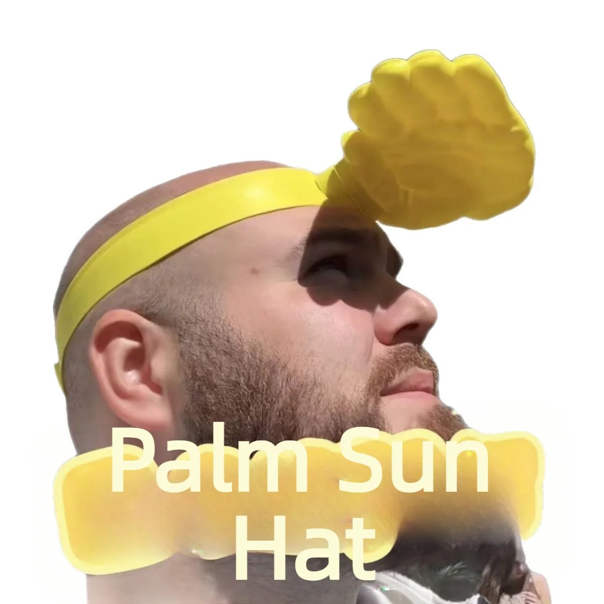 1/3Pcs Novelty 3D Palm Hand Sh - Visor Sun Hat recensie en prijs